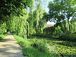 IMG_0440