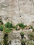IMG_20210613_113022