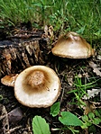 IMG_20210613_133741