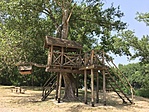 IMG_5179