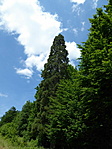 P1010477
