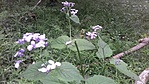 20150119_000932