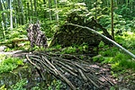 _DSC1706