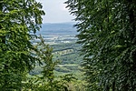 _DSC1978