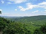 Panoráma