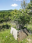 IMG_20210606_144848