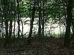 IMG_20210615_184648
