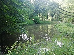 IMG_20210615_175143