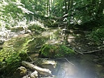 IMG_20210620_095147