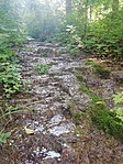 IMG_20210620_094659