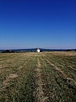 IMG_20210625_082031