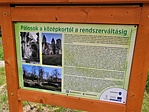 IMG_20210601_140311
