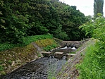 IMG_20210601_140635