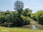 IMG_20210604_104512