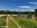 IMG_20210604_113941