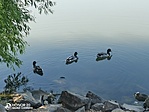 IMG_20210618_165655