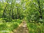IMG_20210622_132620