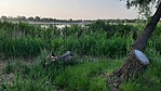 20210609_061450