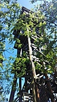 IMG_20210526_143600