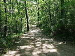 IMG_20210605_103351