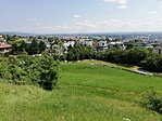 IMG_20210606_102533