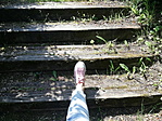 IMG_20210606_103506