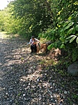 IMG_20210605_114148