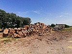 IMG_20210625_131235