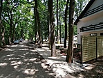IMG_20210625_130858