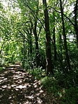 IMG_20210625_124142