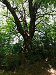 IMG_20210625_124043
