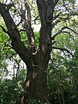 IMG_20210625_123543