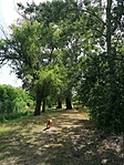 IMG_20210625_104147