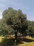 IMG_20210625_132046