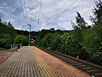 IMG_20210530_110554