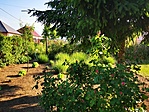 IMG_20210605_070049