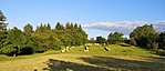 2021-05-29 06.08.36