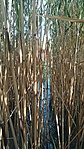 IMG_20210630_174535