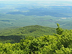 P6072056