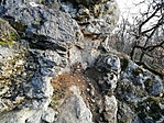 IMG_20210104_150232