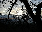 IMG_20210104_150330