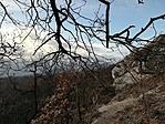 IMG_20210104_150335