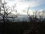 IMG_20210104_150803