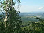 IMG_20210605_170254