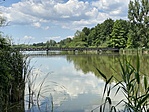 IMG_3530