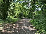 IMG_3532