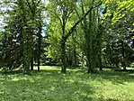 IMG_3533