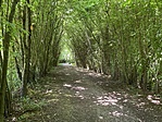 IMG_3535