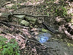 IMG_3601