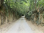 IMG_3653